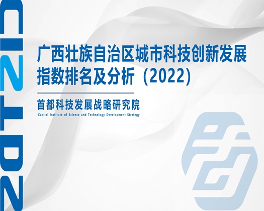 黑丝抽插欧美骚逼【成果发布】广西壮族自治区城市科技创新发展指数排名及分析（2022）